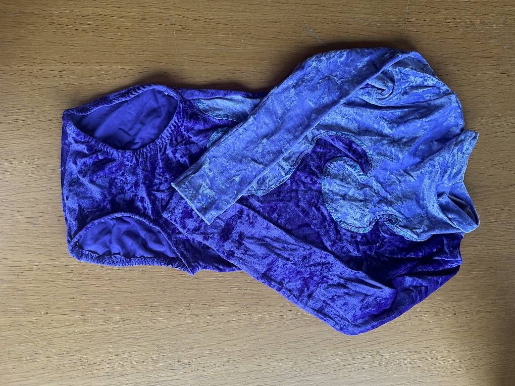 Scarpe, pantaloni & magliette da ginnastica: Dress Geräteturnen – Usato da Appenzell Steinegg venduto da pba_z8py 2