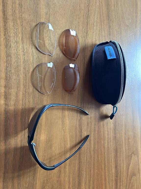 Occhiali & Lenti: Alpina Sonnenbrille – Usato da Rebstein venduto da jan_rj9y 1