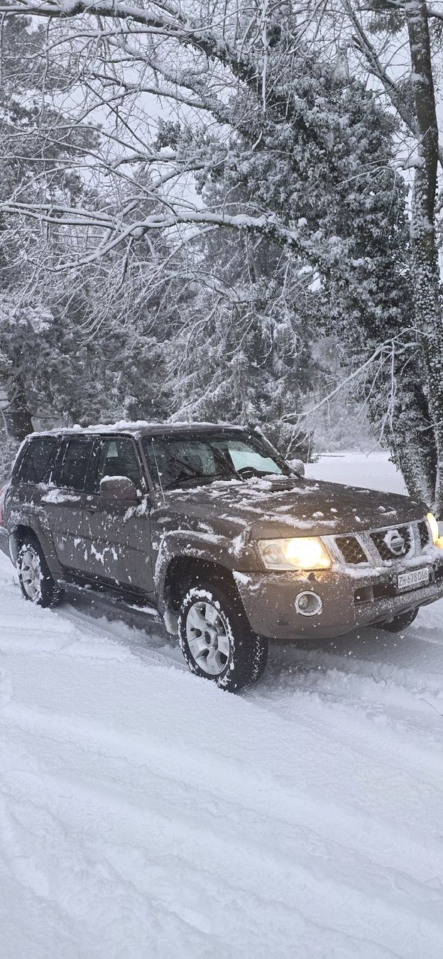Nissan Automobili: Nissan Patrol y61 Gu – Usato da Nürensdorf venduto da rpi_n9mv