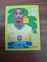 Panini Fifa WM 2026 - BRA 16
