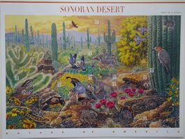 Kleinbogen SONORAN DESERT Frankaturgültig USA 1999 selbstkl.