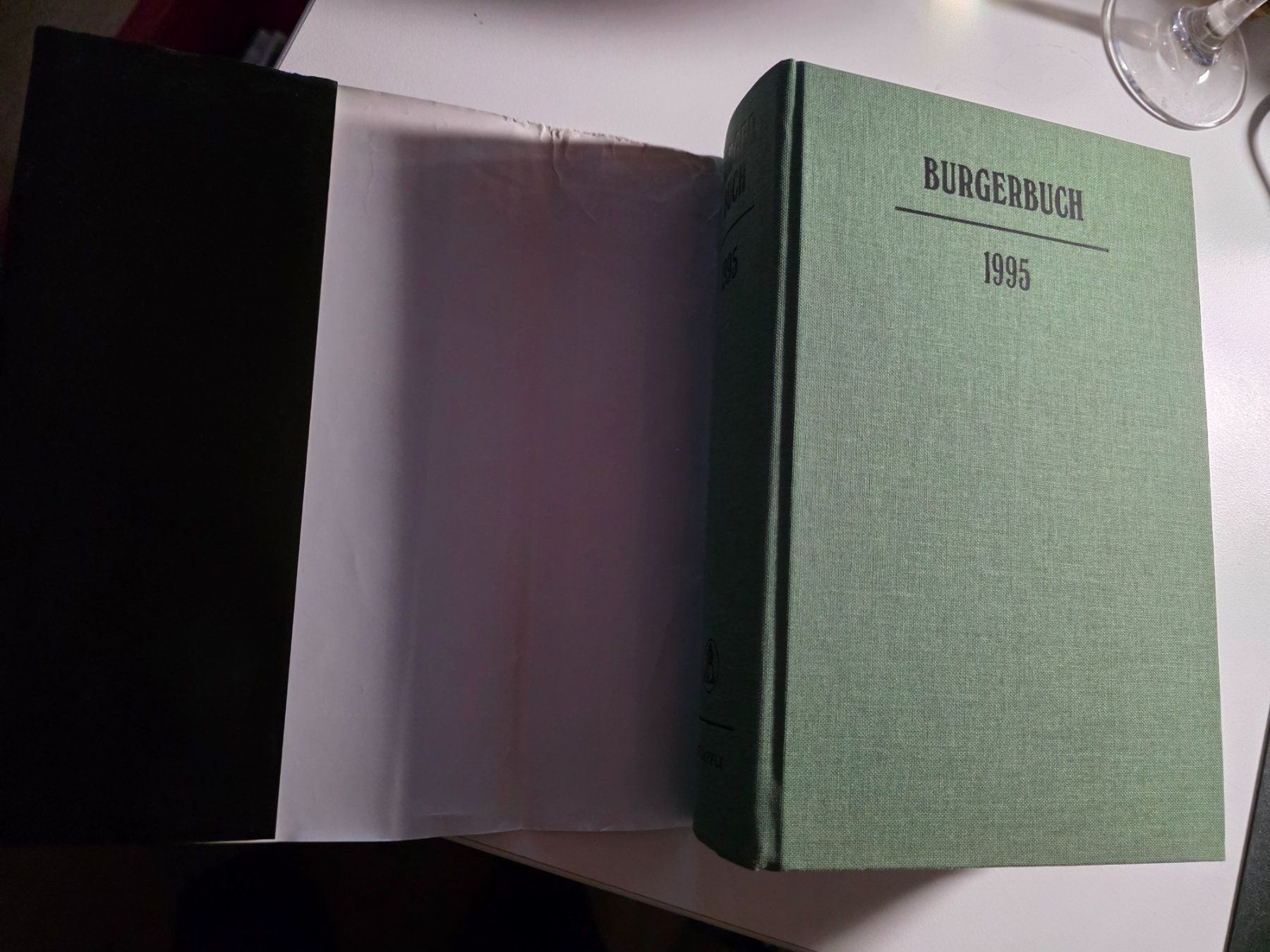 Libri: Stadt Bern BURGERBUCH 1995 - Burger Buch – Usato da Walterswil BE venduto da Lonitti 5