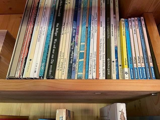 Libri: Max Bolliger – Usato da degersheim venduto da sugus123sugus 3