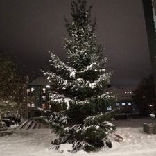 Profile image of swiss_888
