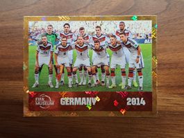 FCW 18 Panini 2014