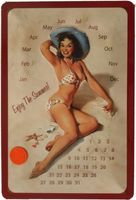 Enjoy summer Kalender, Blechschild  20x3