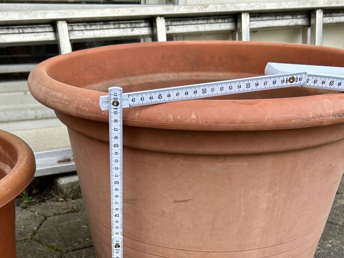 Pots de fleurs: Blumentöpfe – D'occasion à Aarau par Tanichtis01 1