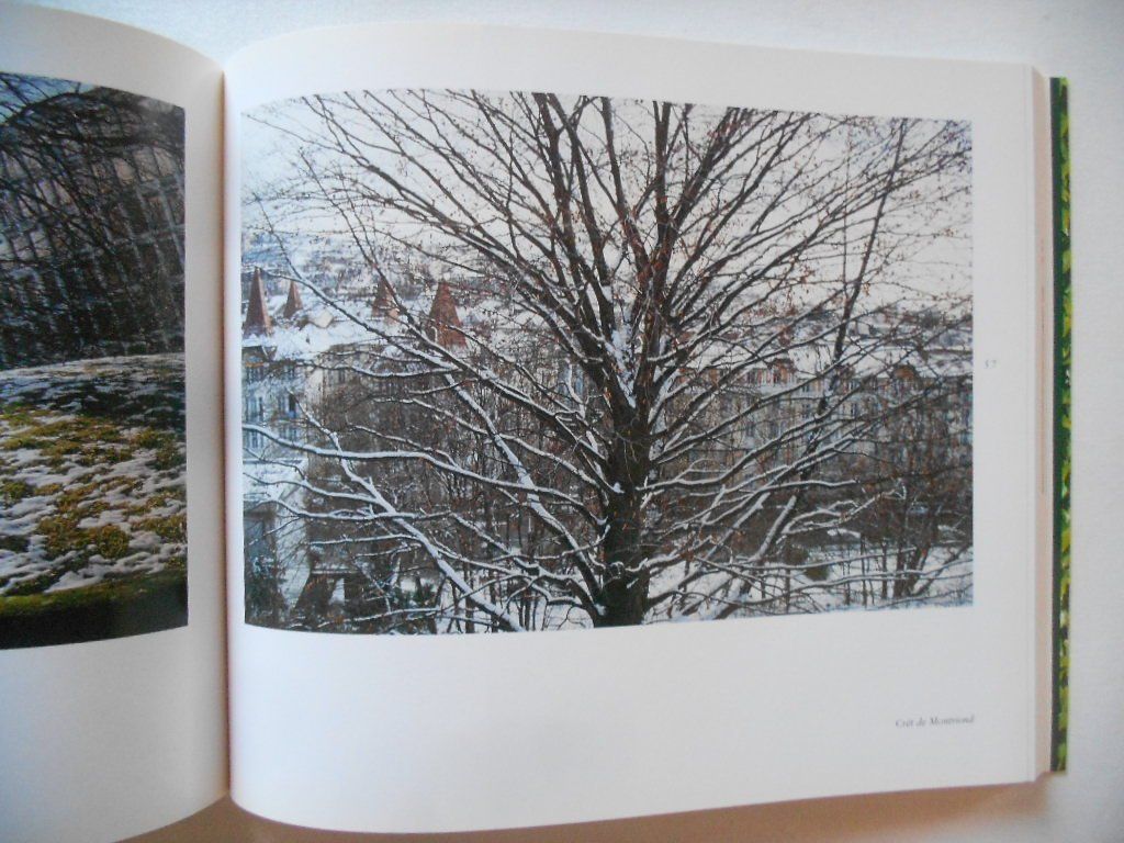 Libri: Lausanne côté jardin – Usato da Bex venduto da Giorgiob 3