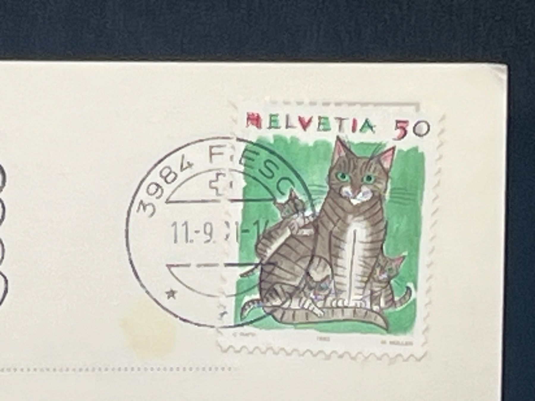 Cartes postales: Fiesch 1050m, Wallis – D'occasion à Widnau par Brusi9 1