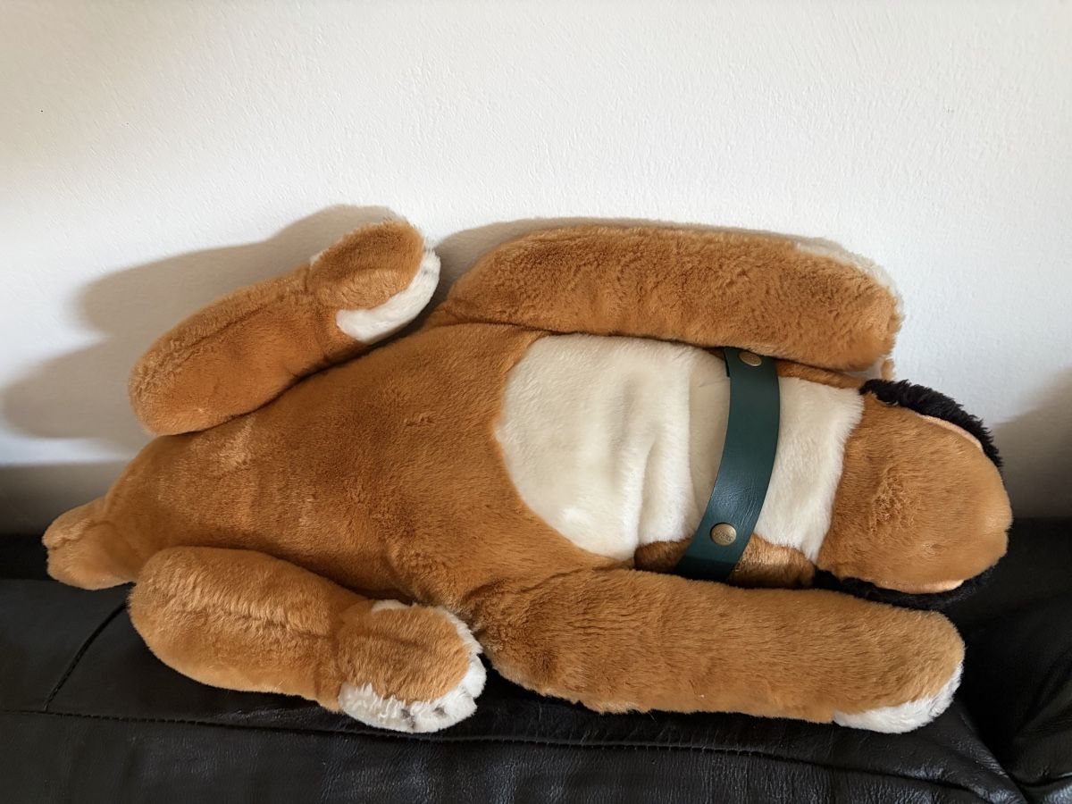 Steiff Jouets: Von Steiff Hund Bobby  – D'occasion à Hochfelden par larson27 4