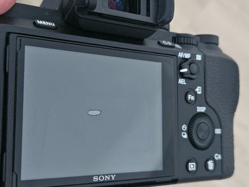 Sony Fotocamera: Sony A7 II mit 28-70mm Kit-Objektiv – Usato da Chur venduto da PQ96 5