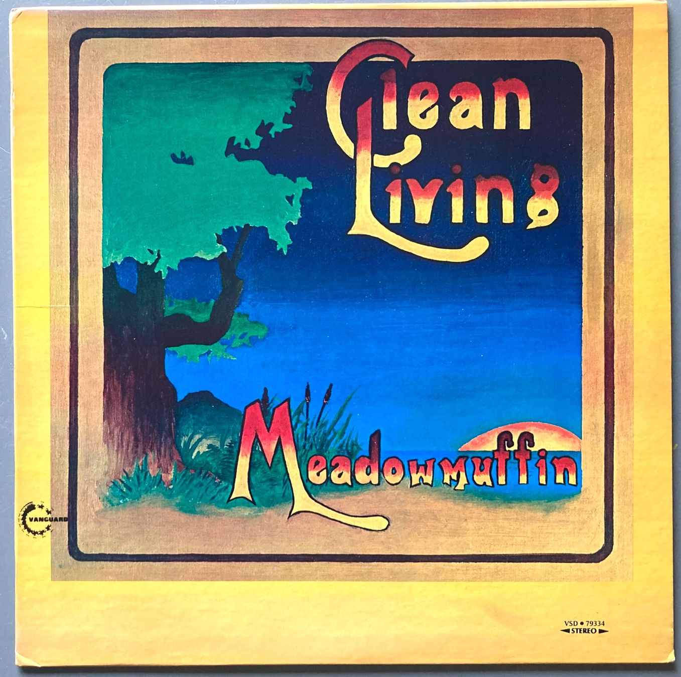 Dischi in vinile: CLEAN LIVING - MEADOWMUFFIN – Usato da Poliez-Pittet venduto da Newtown-Records