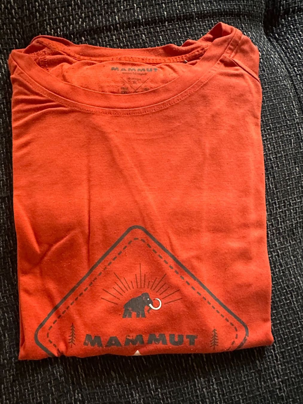 T-Shirts: T-Shirts – Gebraucht aus Herbriggen von Faju 1