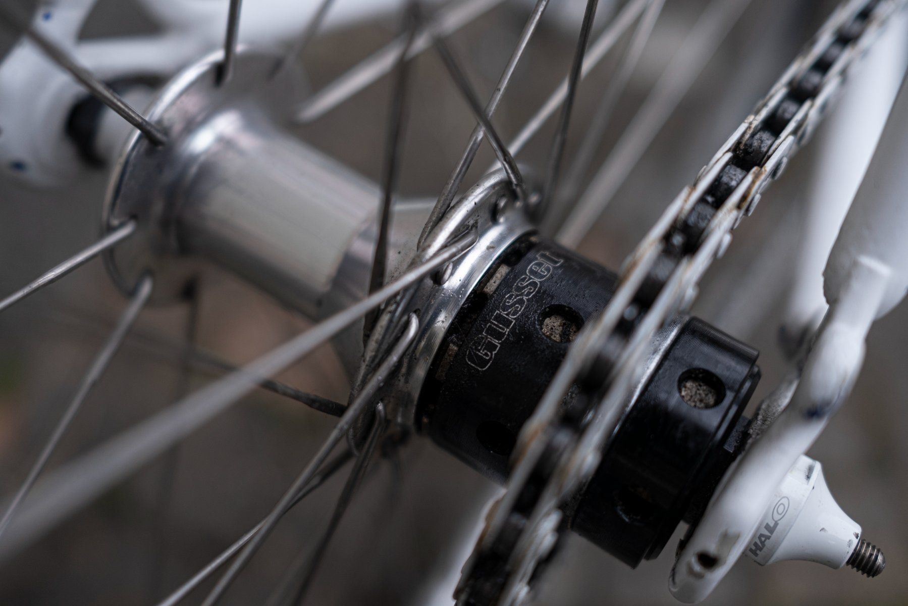 Campagnolo Biciclette: Weisses Singlespeed Velo mit Campagnolo Komponenten – Usato da Zürich venduto da joe-c 5