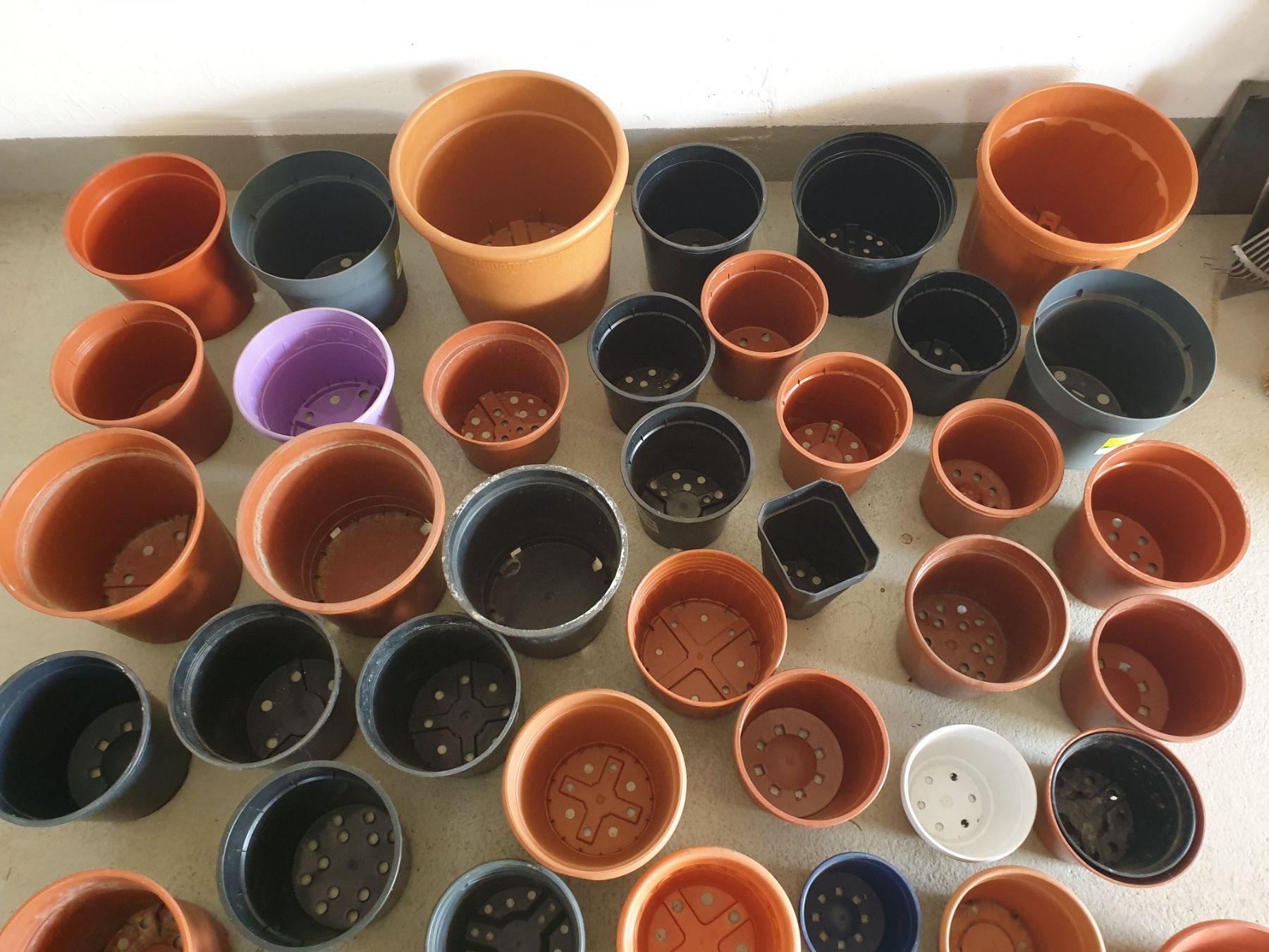 Blumentöpfe: Lot Plastiktöpfe – Gebraucht aus Tuggen von Mviola2 2