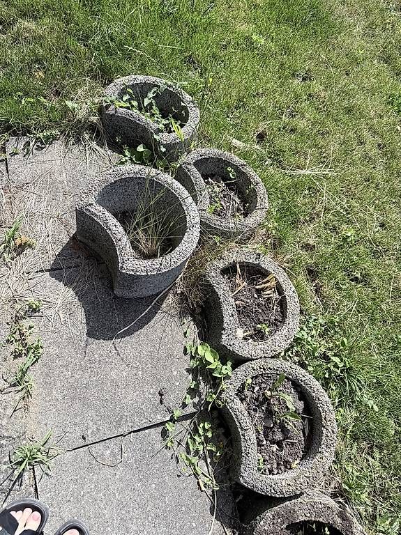 Pots de fleurs: Pflanzstein – D'occasion à Langenthal par AliceAmmann 1
