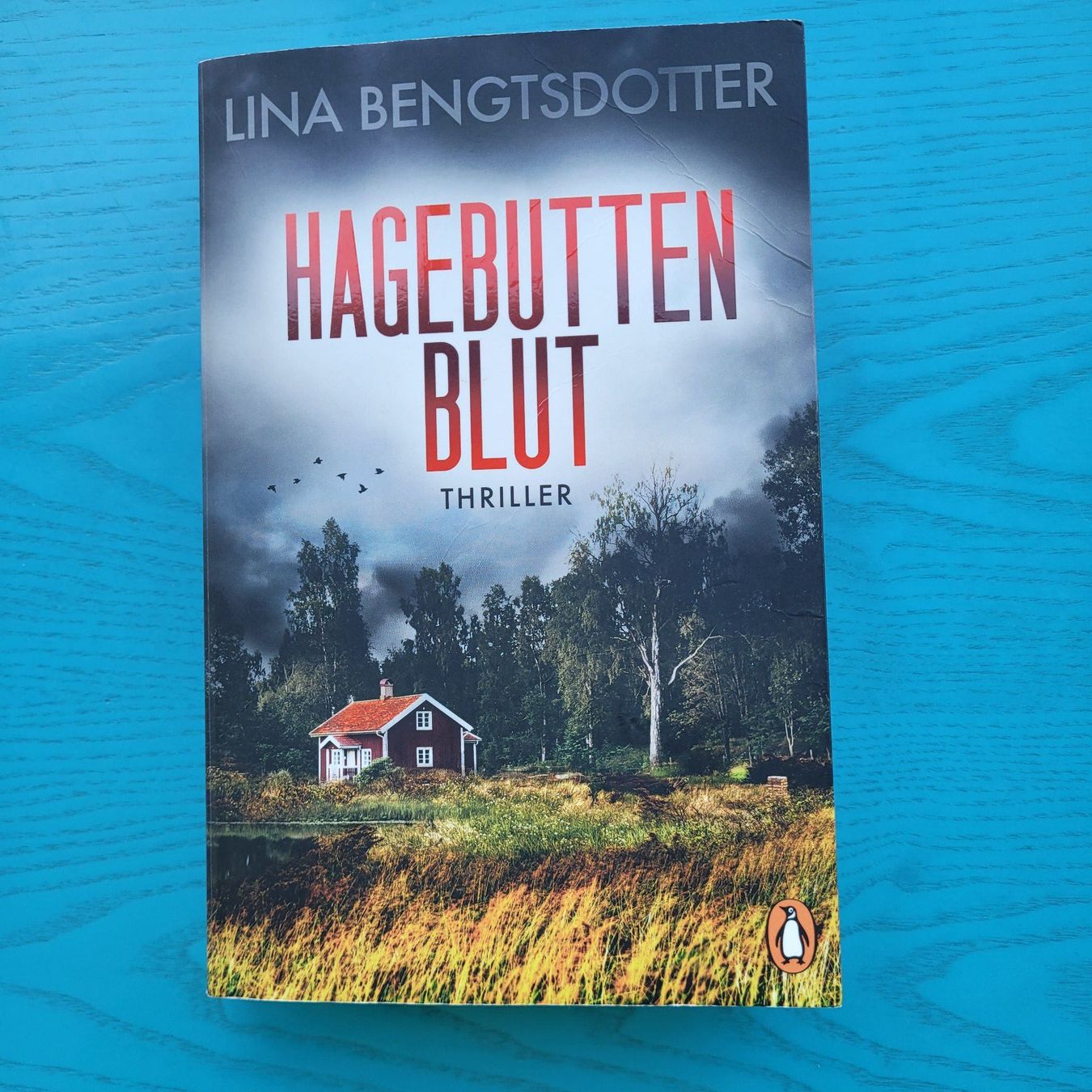 Libri: Hagebutten Blut - Lina Bengtsdotter – Usato da SCHÜBELBACH venduto da CoKaHa