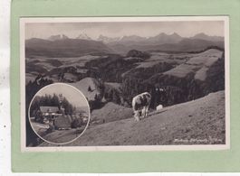 Kurhaus Lüderenalp Kuh 1930