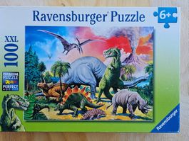 Puzzle 100teilig