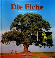 H. und A. Fischer-Nagel Die Eiche Lebensbaum und Lebensraum