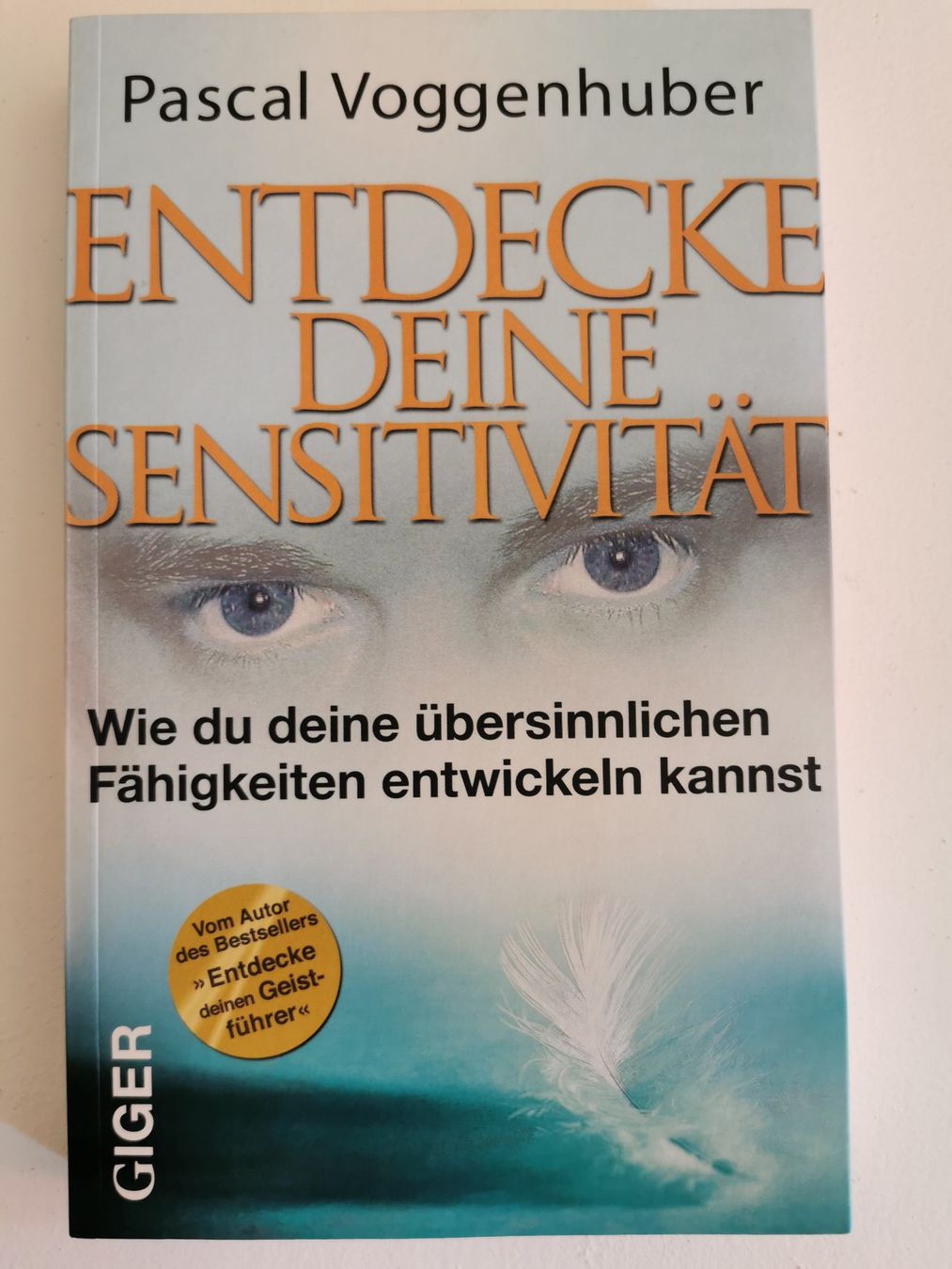 Libri: Pascal Voggenhuber - diverse Bücher – Usato da bern venduto da jeannie2006 3