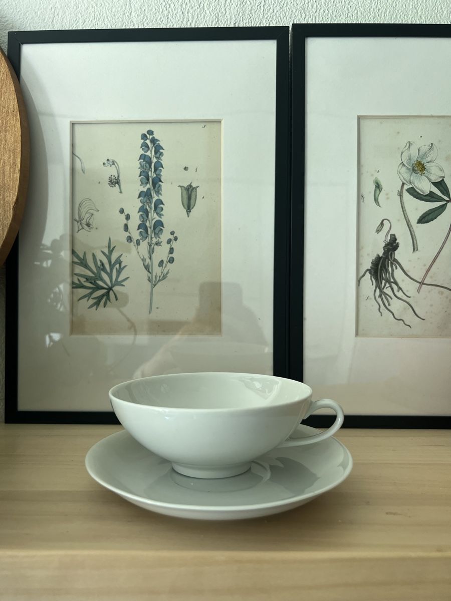 Tazze: 6 tea cup white porcelain – Usato da Zürich venduto da Zurich_TimeCapsule 5