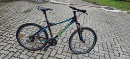MTB Bergamont