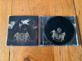ARISE AND RUIN The final dawn CD Metalcore 2007