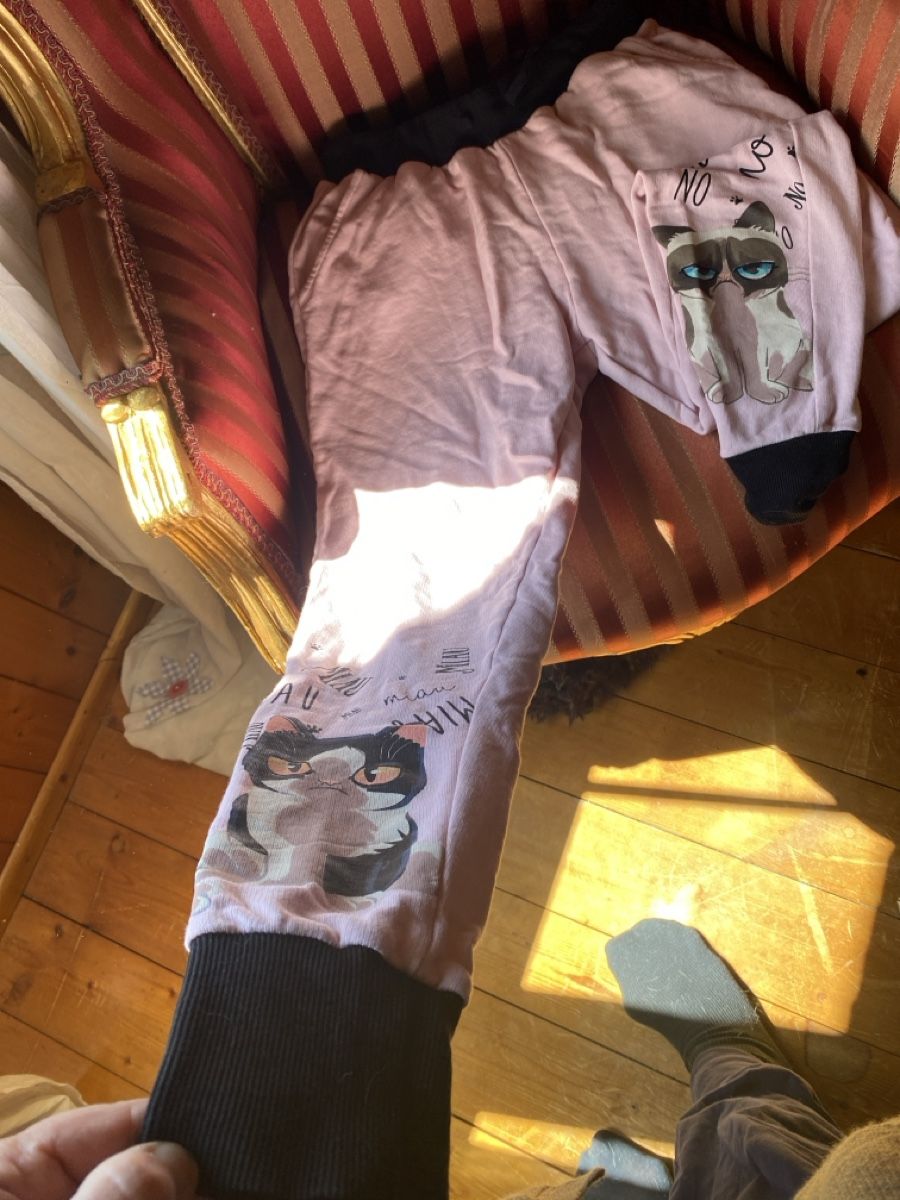 Pantaloni: Coole Damen / Mädchen Jogginghose Gr. S/ M Katze Grumpy Cat – Nuovo (secondo la descrizione) da Amden venduto da stewa03 2