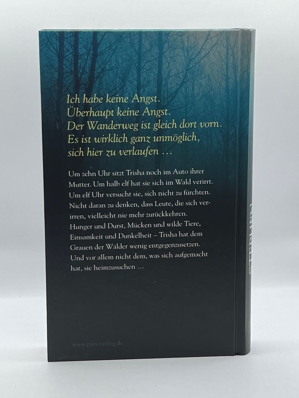 Libri: 📖 Das Mädchen Stephen King Roman – Nuovo (secondo la descrizione) da Vaduz venduto da NotNeeded 1