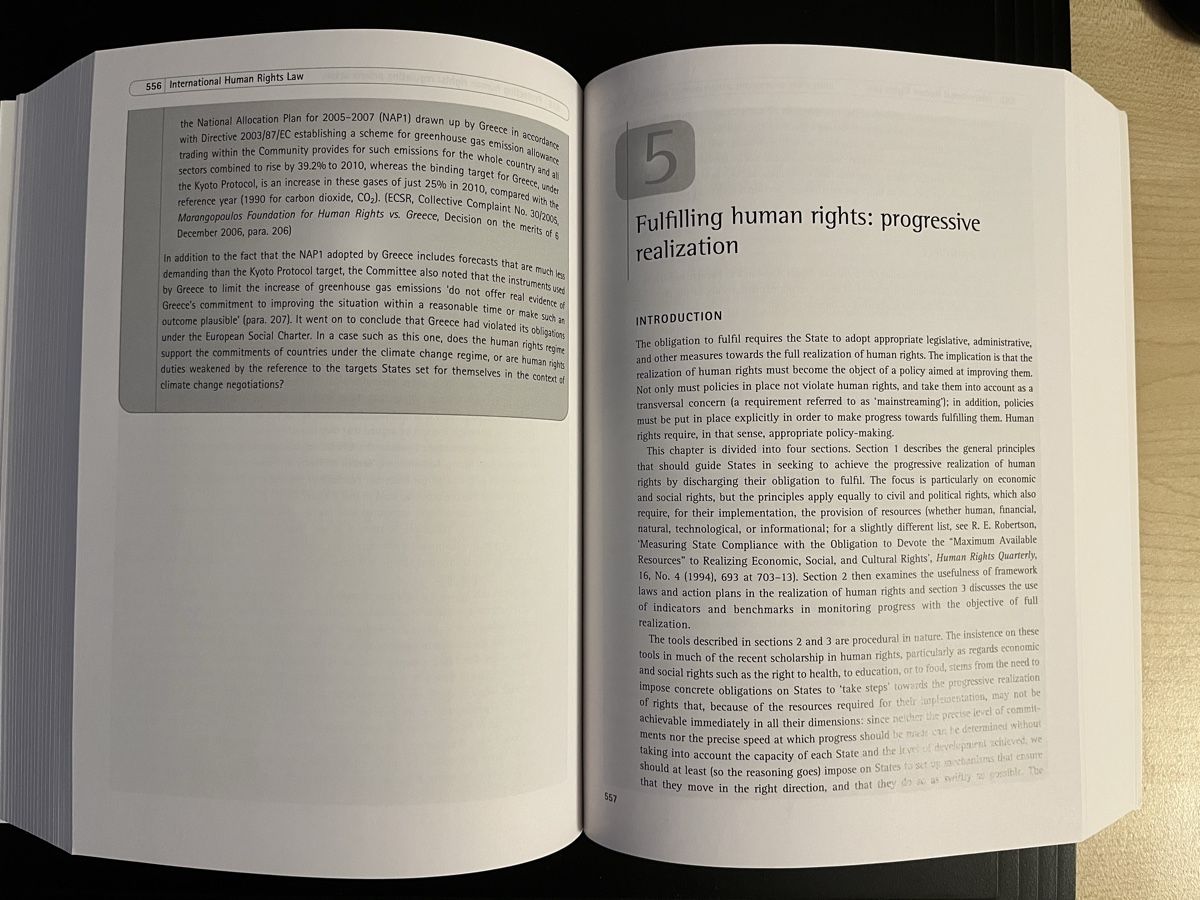 Bücher: De Schutter, International Human Rights Law (3rd edn) – Neu (gemäss Beschreibung) aus Villars-sur-Glâne von Yashem 3