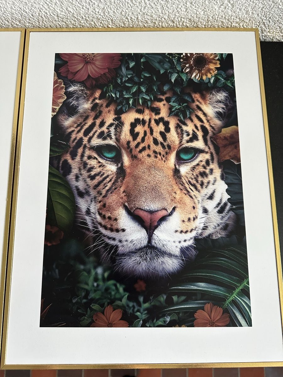 Foto & Immagini: 2x Bild (30x40cm) – Usato da Kräiligen venduto da SITARO 1