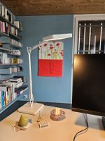 FLOS Kelvin LED Tischleuchte, Top Zustand