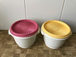 Tupperware 2 Schüsseli mit Sonnendeckel