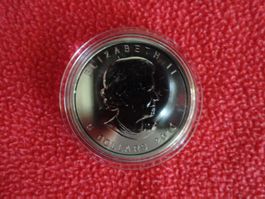 Silbermünze Kanada Maple Leaf 5 Dollars 2010 - Elizabeth II