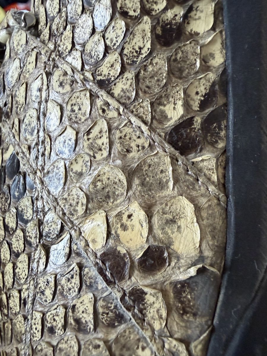 Tod'S Scarpe da donna: TOD’S Loafer Gr. 40 Pythonleder – Usato da Müllheim Dorf venduto da MelsFashion 3