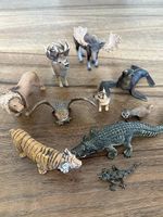Schleichtiere