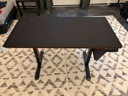Stehpult elektr. höhenverstellbar + Gamingauflage