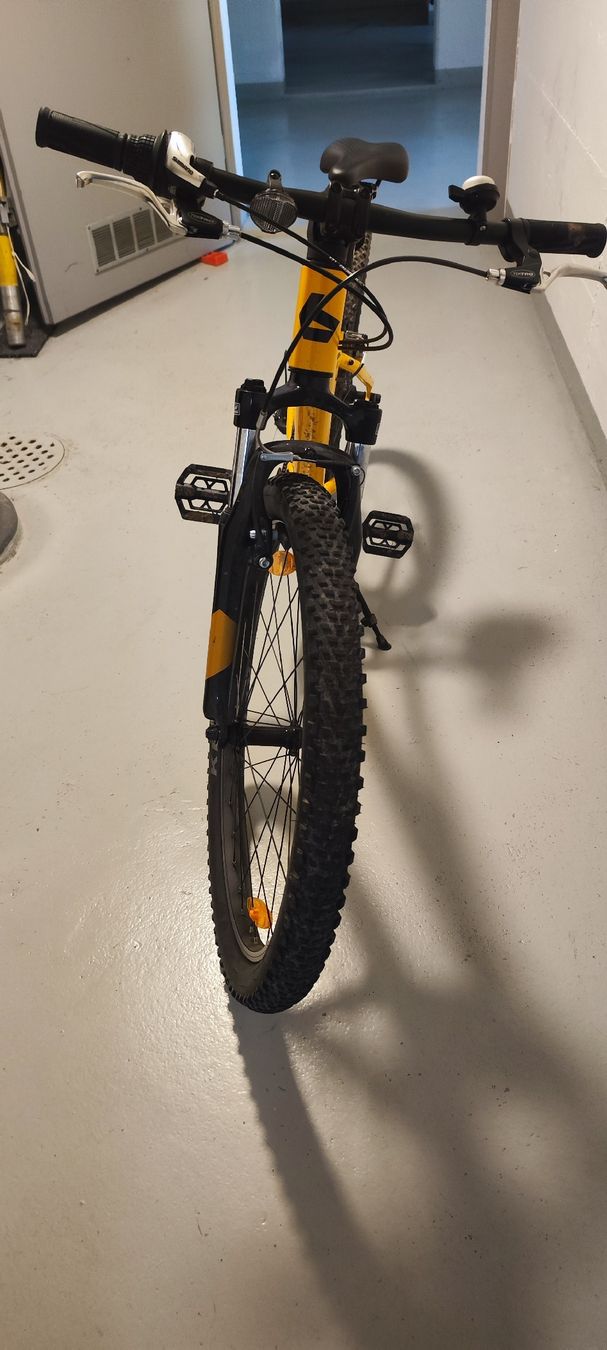 Bergamont Biciclette: Bergamont Revox 24 – Usato da Nebikon venduto da tiagoritz 3