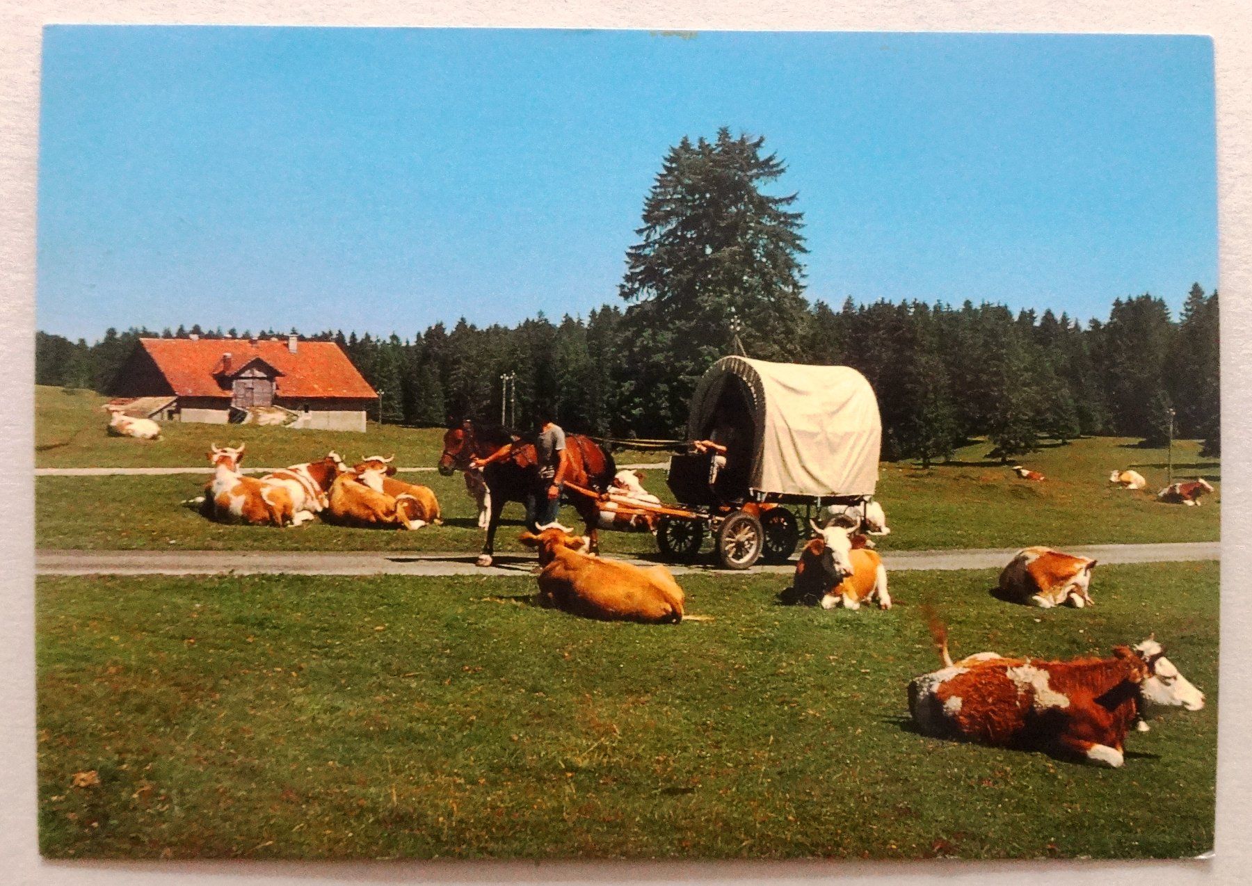 Cartoline postali: Franches-Montagnes pittoresques – Usato da Fétigny venduto da Billy2miny