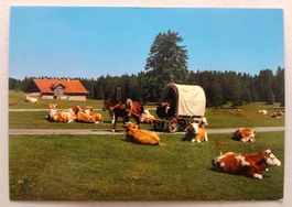 Franches-Montagnes pittoresques