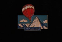 Fiscaplan PIN