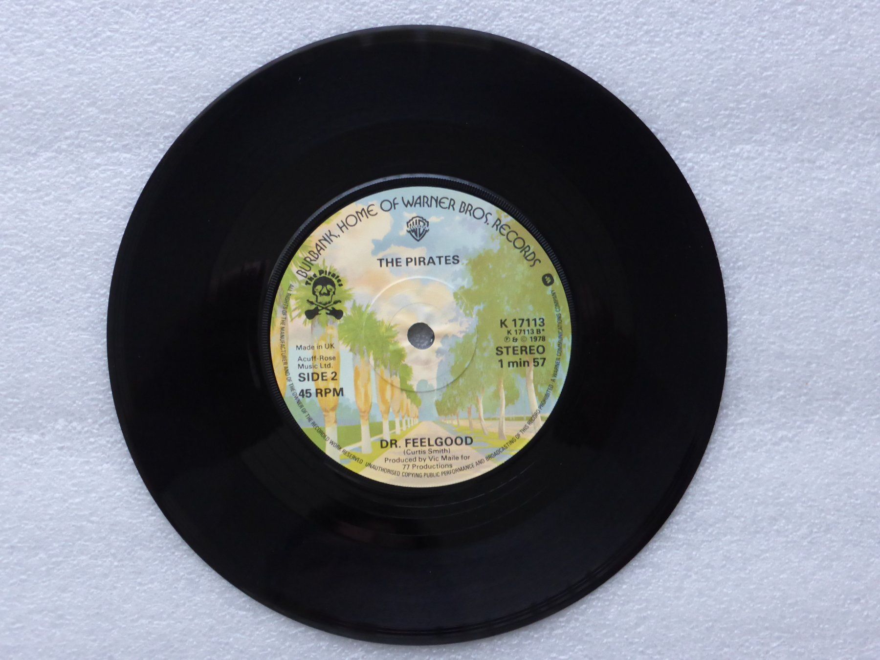 Dischi in vinile: Vinyl Single  THE PIRATES – Usato da Küssnacht am Rigi venduto da Mondkinder 2
