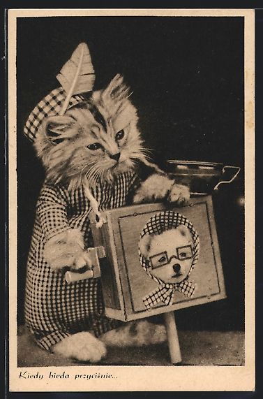 Cartoline postali: Katze an einem Leierkasten mit Hundeaufd – Usato da Berlin venduto da bartko-reher