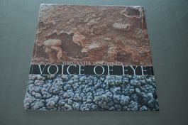 VOICE OF EYE 10 SUBSTANTIA INNOMINATA - AMBIENT - DARK