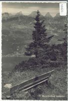 Flums-Grossberg - Züribänkli