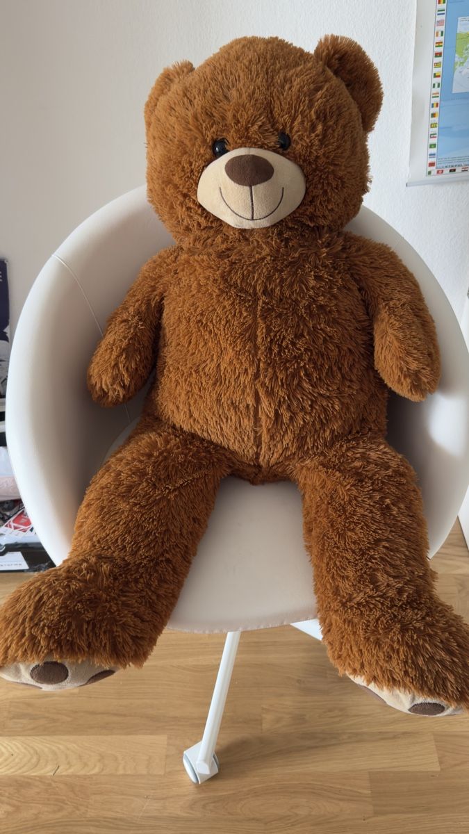 Jouets: Teddy Bear Plush Toy Brown Used Condition – D'occasion à Zürich par ish_6v8w 2