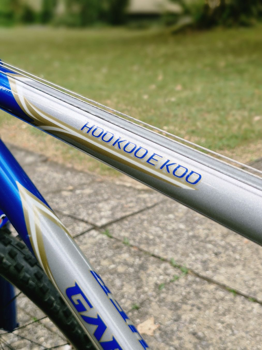 Biciclette: Gary Fisher Hoo Koo E Koo – Usato da Cham venduto da ben_r9pl 1