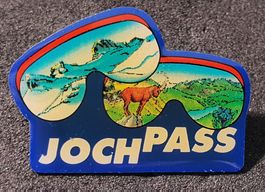 CC847 - Pin Jochpass Steinbock Ski-Brille