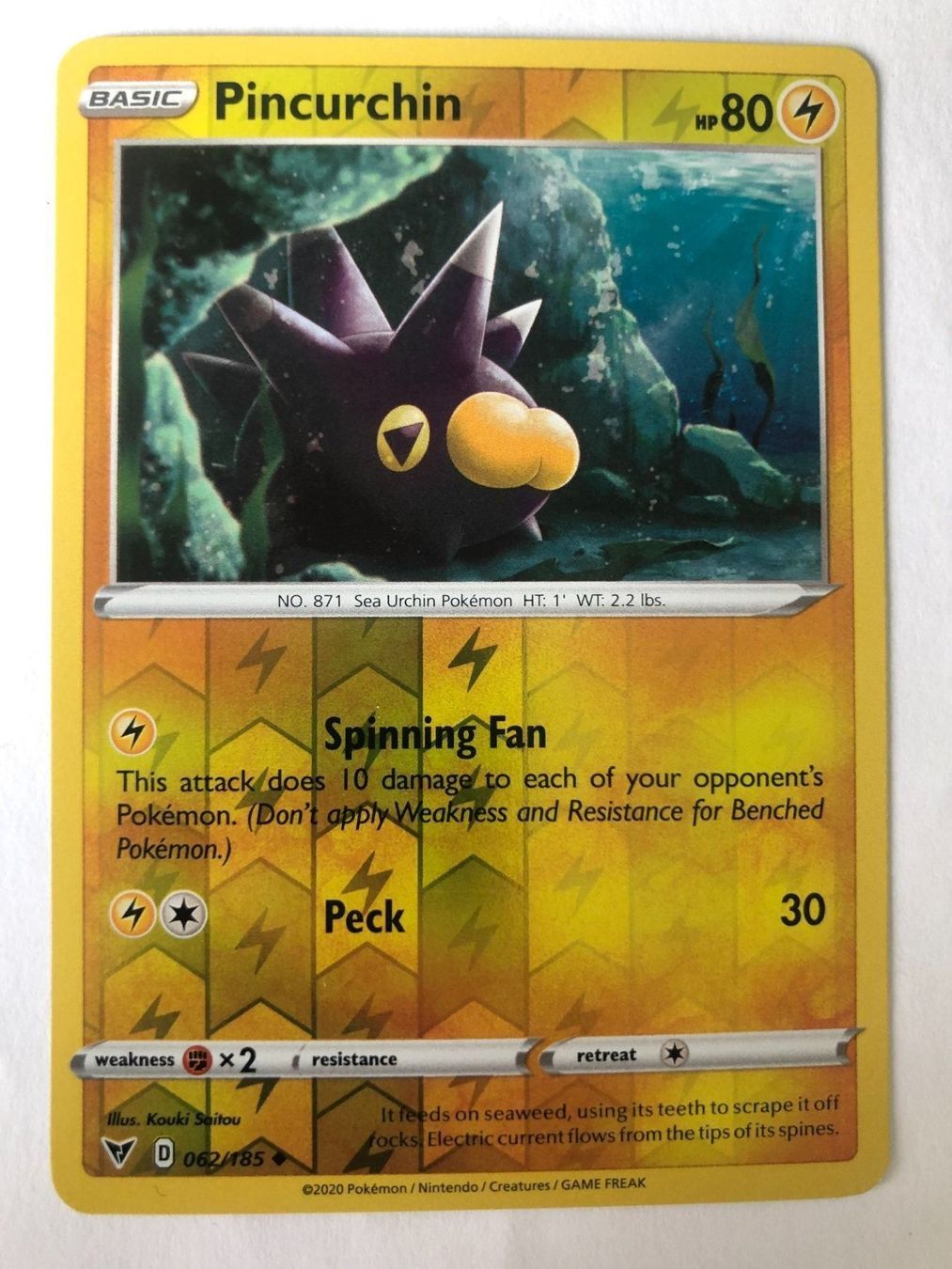 Pokémon Sammelbilder & Trading cards: Pinchurchin - Reverse Holo - Pokemon – Neu (gemäss Beschreibung) aus Nussbaumen AG von Pika-Shop